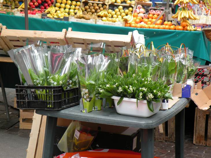  vente de muguet du 1er mai